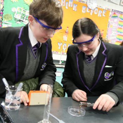 tsa_Year8Science (10)